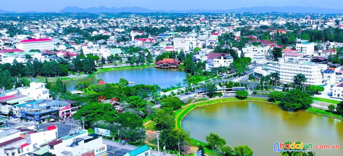 phuong 1 bao loc 1